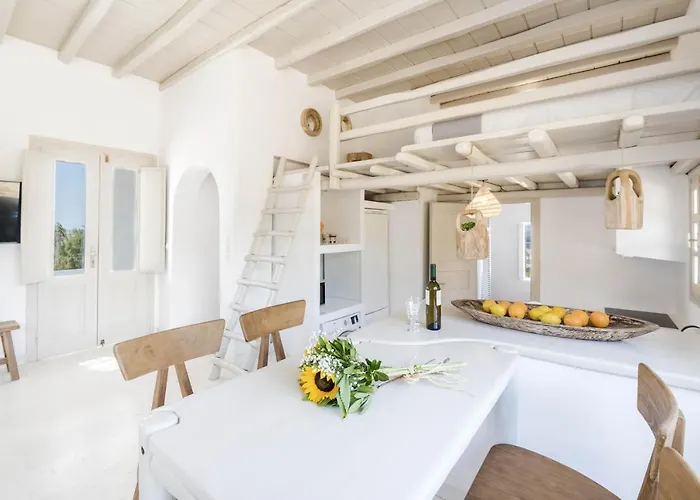 别墅 Seaside Mykonos Town